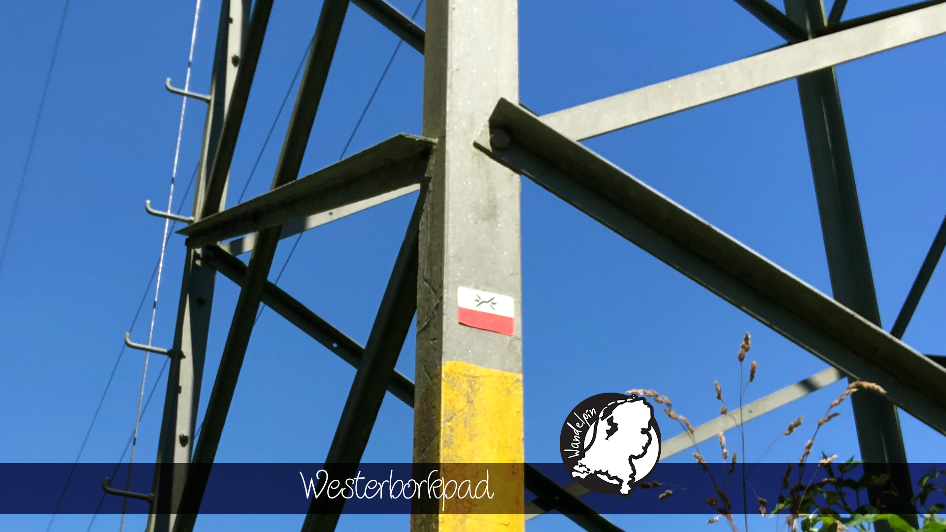 Wandelpin Westerborkpad