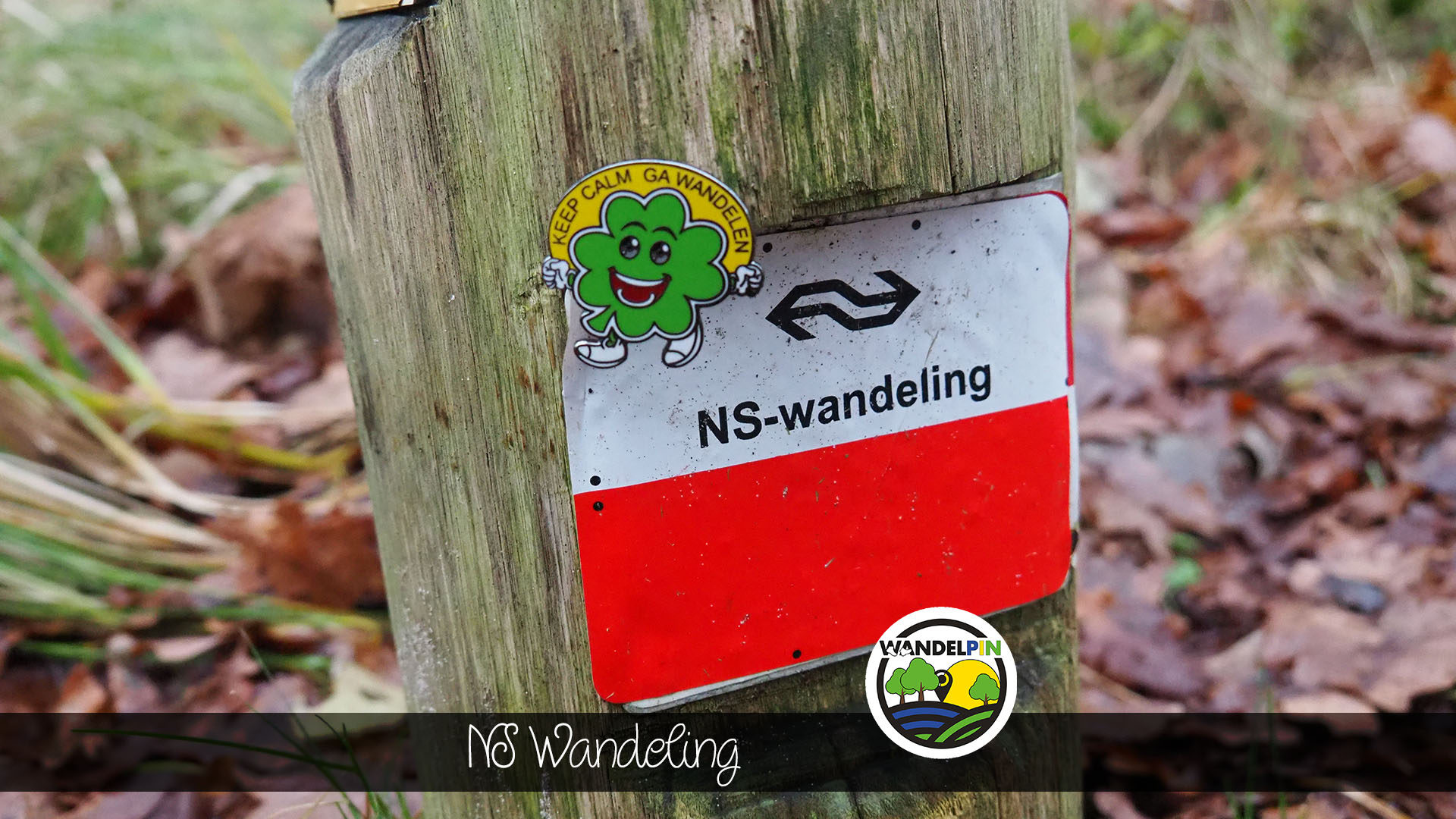 Wandelpin NS-wandeling